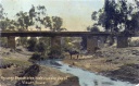 RailwaybBridge over Honeysuckle Creek