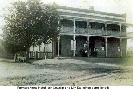 Farmers Arms Hotel