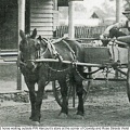horse-cart