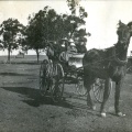 Horse and cart at 'Fairview'