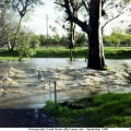 Honeysuckle Creek in Flood