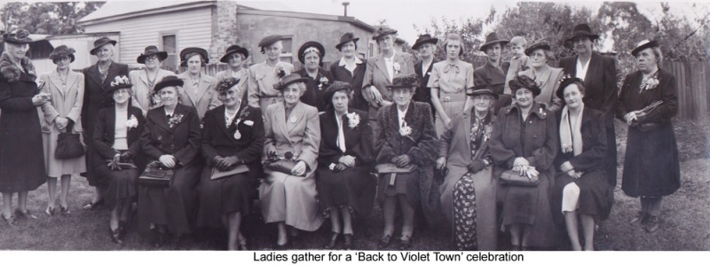 Back to Violet Town Ladies
