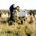 Direct seeding 1990s