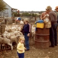 Lamb marking at Lynfielf