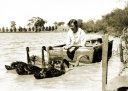 May Brown feeding swans in boat made by Jock Brown, Earlston 1930s