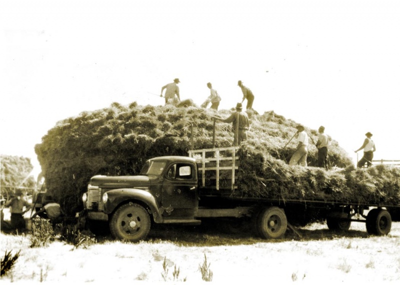 Building a haystack, Caniambo 1930s