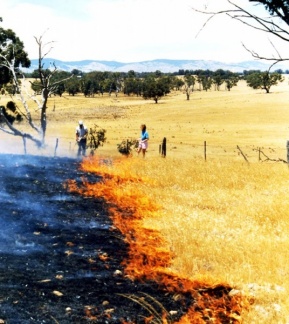 Fire on Walker's property. 1990s