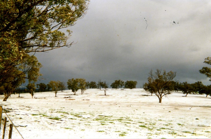 Hail storm, Tamleugh. 1980s