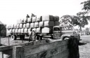 Load of wool, Rex Park, Caniambo