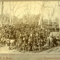 Caniambo Coursing Club Meet at Mr H. Grattan's, Gowangardie. 22nd July, 1896