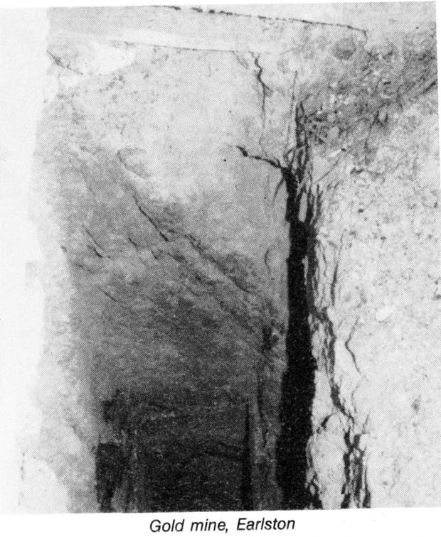 Gold mines Earlston2