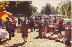 market lions park 5