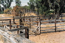 VT Railway Loading Yards 1988 3-6  (prior to demolition)
