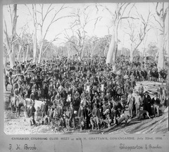 Caniambo Coursing Club Meet at Mr H. Grattan&#039;s, Gowangardie. 22nd July, 1896