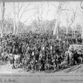 Caniambo Coursing Club Meet at Mr H. Grattan&#039;s, Gowangardie. 22nd July, 1896