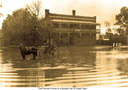 sepia Farmers arms