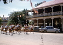 Cowslip St VT parade, VT Hotel on the right with the Farmers Arms in the background
