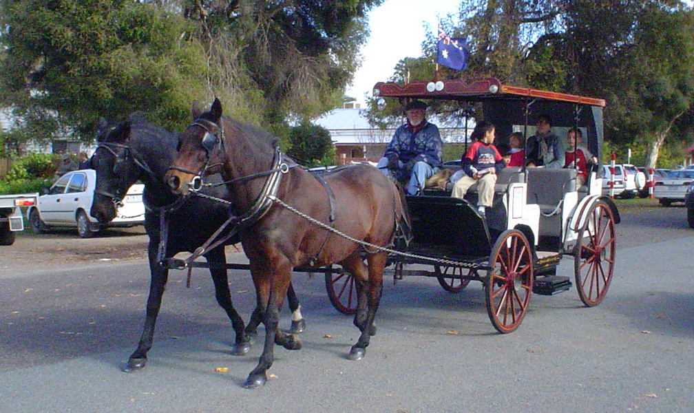 horse and cart DSC01770