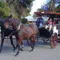 horse and cart DSC01770