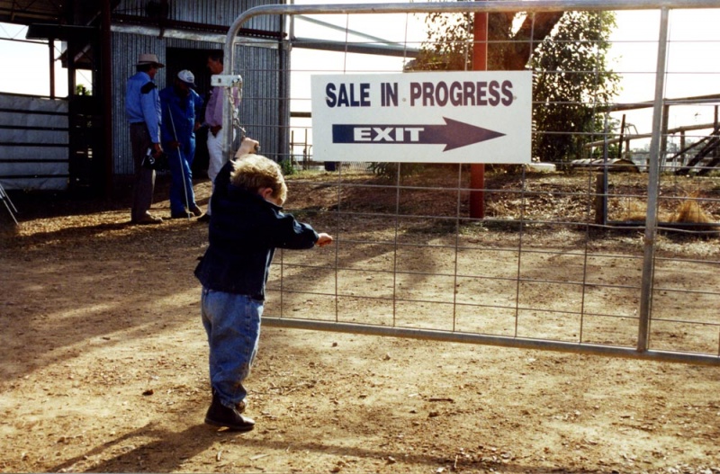 After the sale, Campbell Farms, Earlston