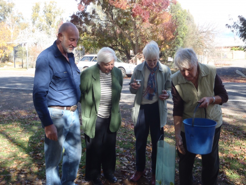 VT-RSL-Harry-Daley--Past-Pres--Kath-Ubter--Sheila-Burnell-and-Yvonne-Hargraves-planting-2385-GH-MILES.JPG