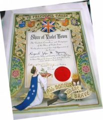 john-Young-Violet-town-Certificate