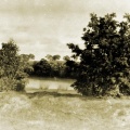 View from Jock Brown's Graden Earlston 1930s