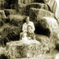 Good hay season, Sienjt, Hillinger and Abbey, Koonda.