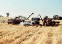 Harvest, Upotipotpon. 1970s