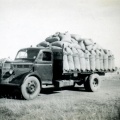 Truck loaded with bagged oats. Caniambo. 1950s