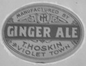 Hoskins VT ginger Ale