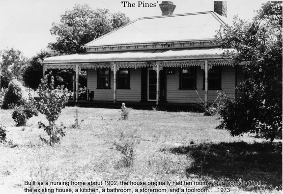 the pines