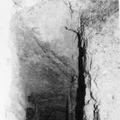 Gold mines Earlston2