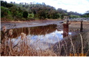 Honeysuckle Reservoir Sept 2002 EarthTech Feb 2003 Report