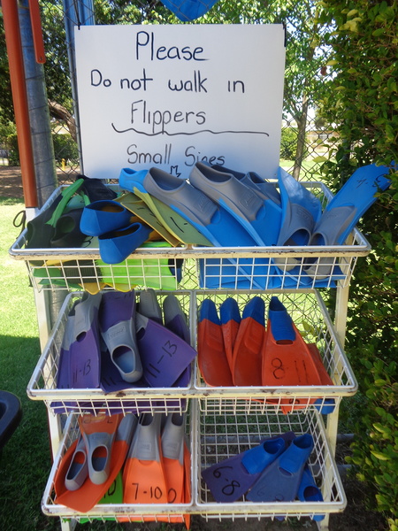 VT Swimming Pool 2.JPG