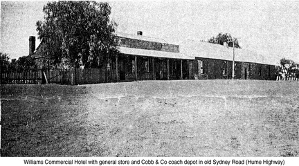 commercial-hotel007