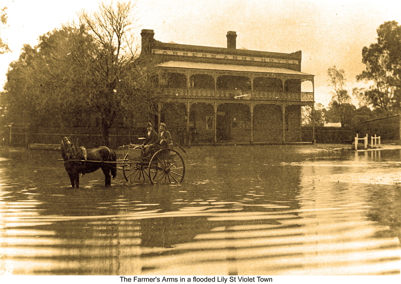 sepia Farmers arms